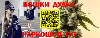 PSILOCYBIN Малоярославец